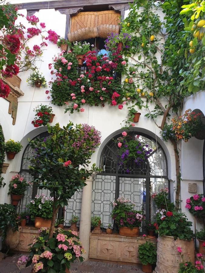 Apto. Planta Baja Y Cochera Barrio San Basilio Córdoba Eksteriør bilde