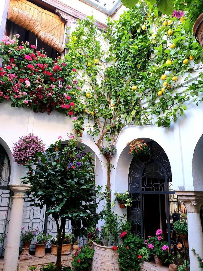 Apto. Planta Baja Y Cochera Barrio San Basilio Córdoba Eksteriør bilde